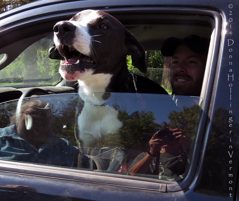 My Neighbor and His Dog Jacoby