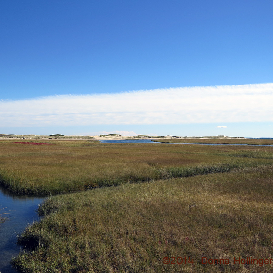 Wetlands Behind the Sand Dunes At Sandwich