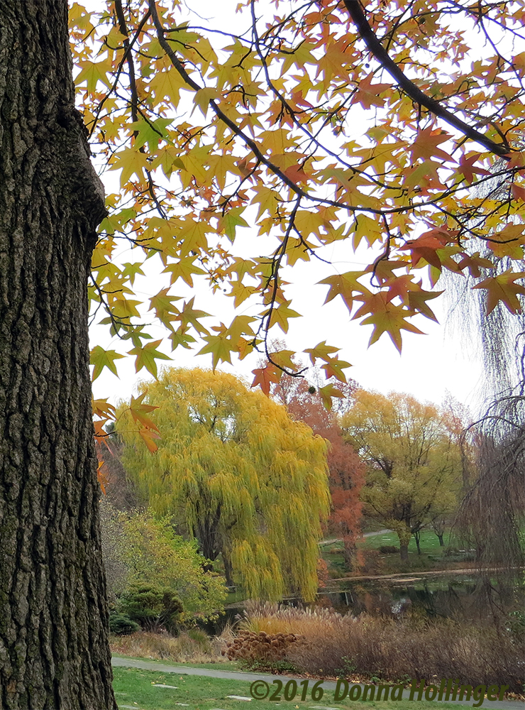 Fall Pastels at Mount Auburn Cemetery