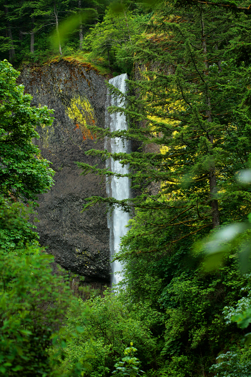 _MG_2467_2012.jpg