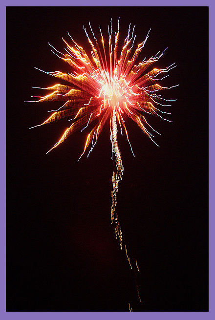 18661607.DSCF0256_ElectricDandelion.jpg