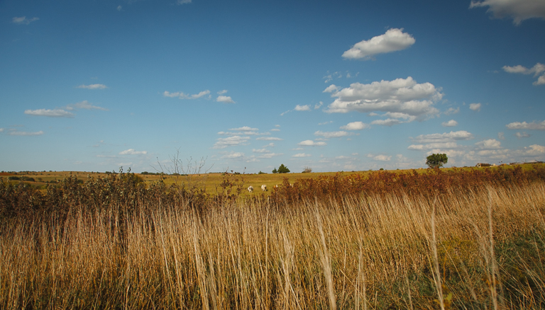 Flint Hills 2013-0503.jpg