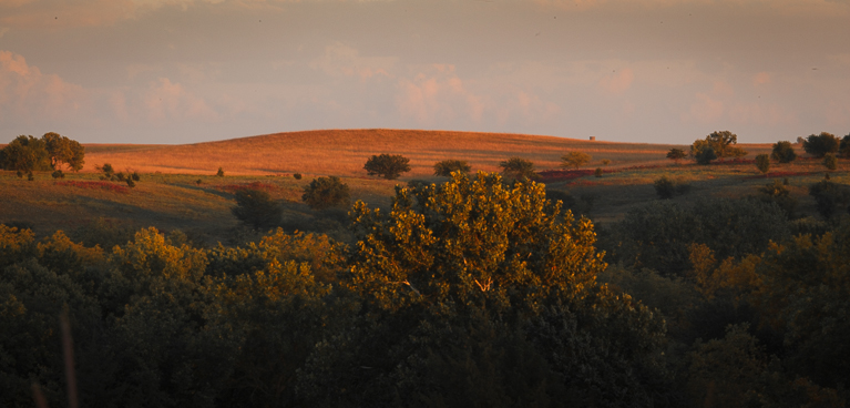 Flint Hills 2013-0553.jpg