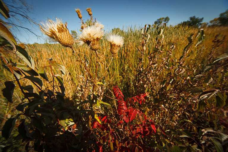 Flint Hills 2013-0732.jpg