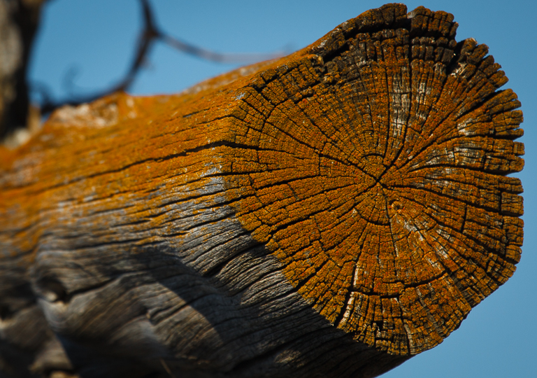 Flint Hills 2013-0879.jpg