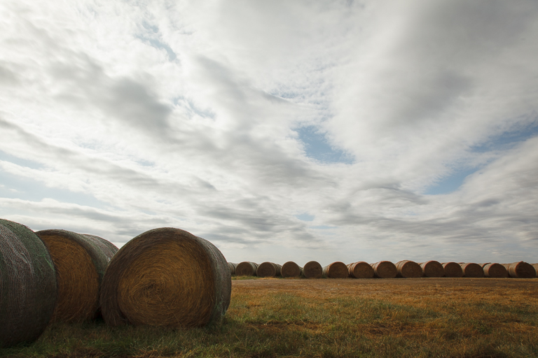 Flint Hills 2013-0936.jpg