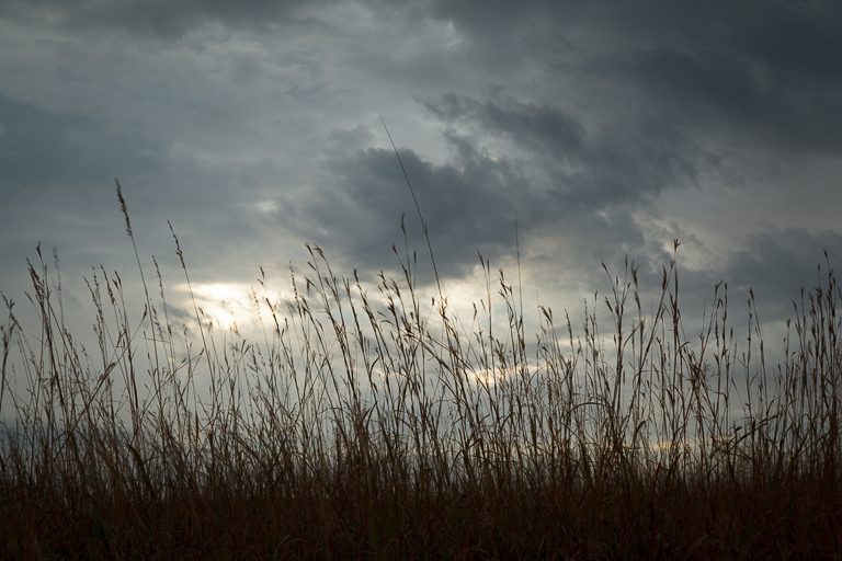 Flint Hills 2013-1010.jpg