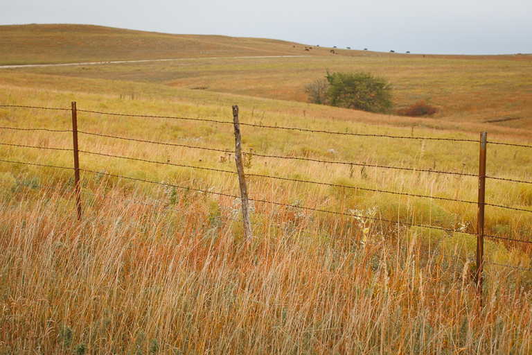 Flint Hills 2013-1049.jpg