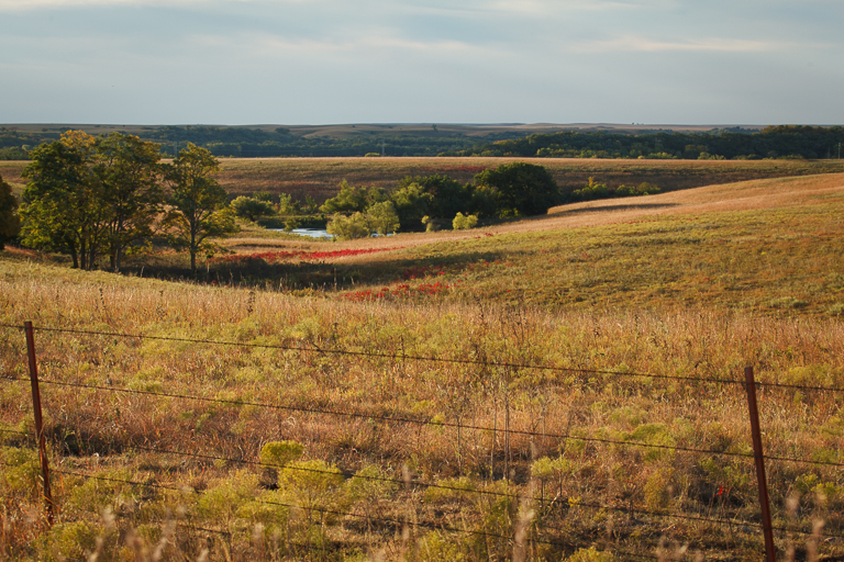 Flint Hills 2013-1071.jpg