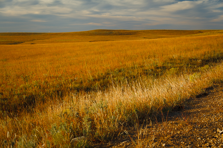 Flint Hills 2013-1077.jpg