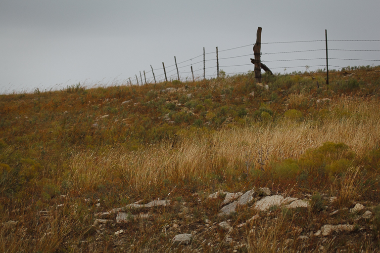 a flinty hill.jpg