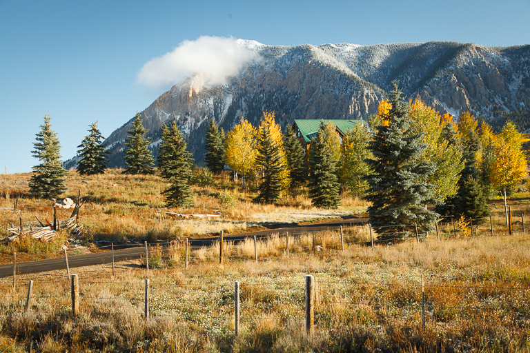 cabin in the pines.jpg