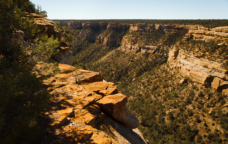 canyon.jpg