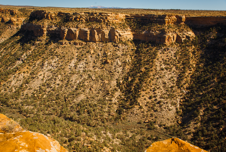 lotta rocks.jpg
