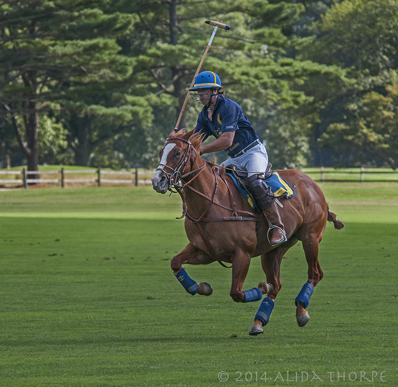 Polo- Blue Shirt