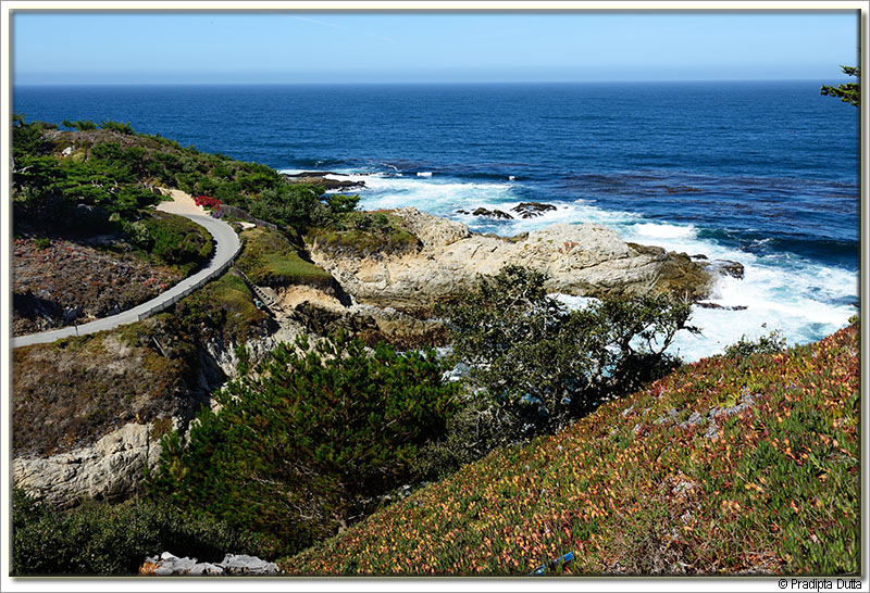 Carmel by the Sea