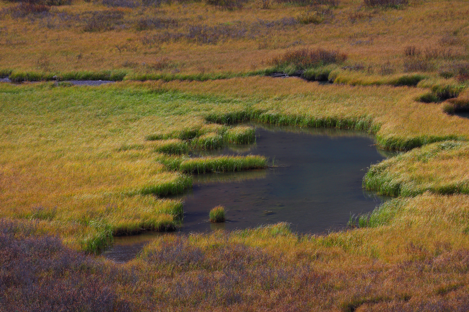 Spray Valley Provinical Park