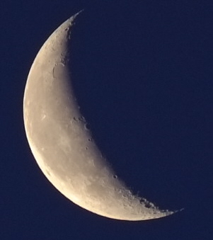 This  morning's  moon