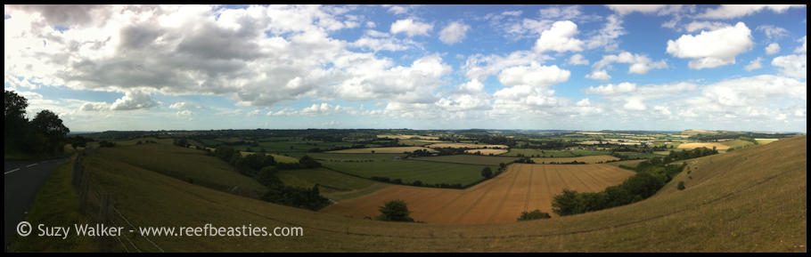 Autostitch panorama