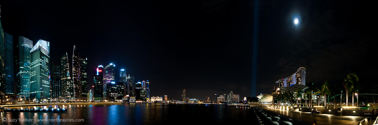 Singapore skyline