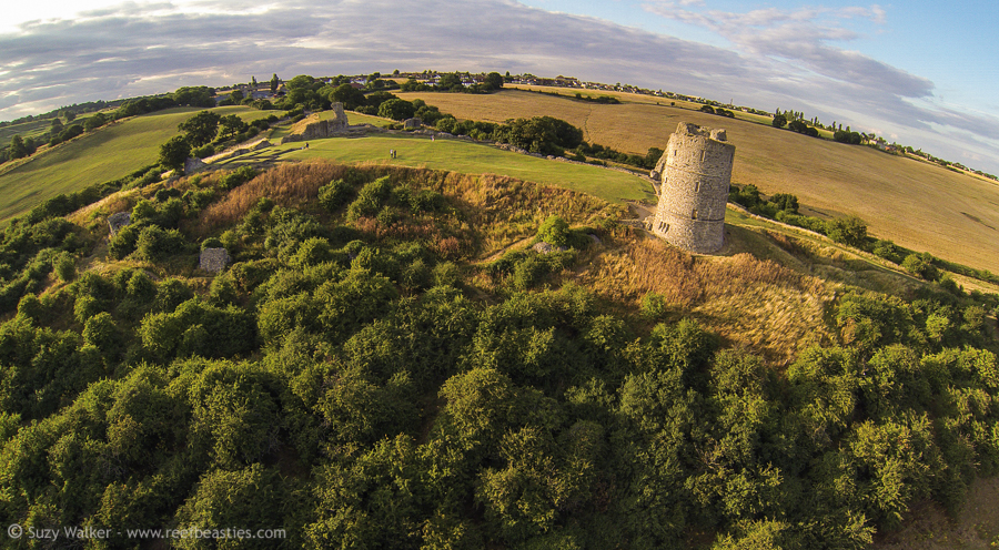 Hadleigh Castle Aerial 4