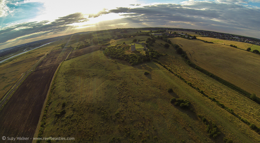 Hadleigh Castle Aerial