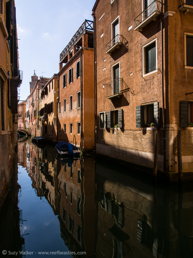 Canal reflections