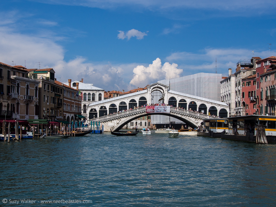 Rialto