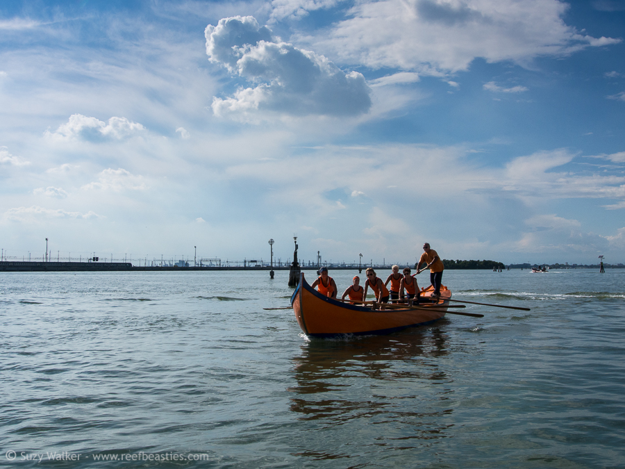 Gondola rowers