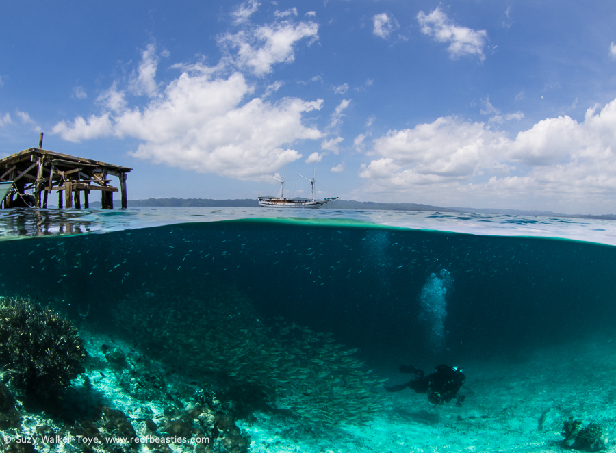 Arborek Jetty