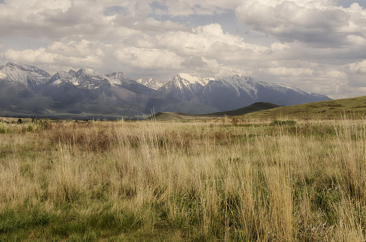 Looking East at the Mission Mountains