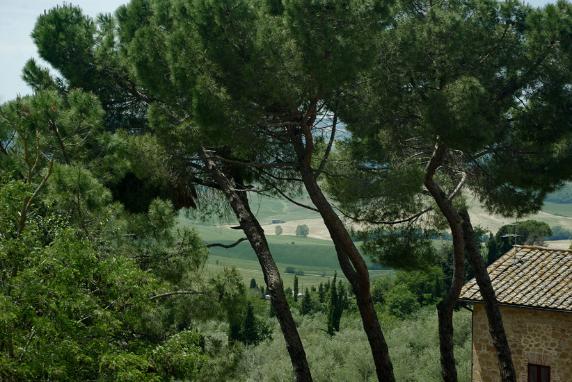 Pienza