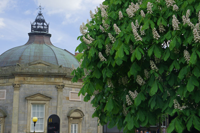 Harrogate