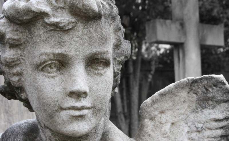Cherub