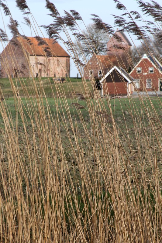 Ezinge