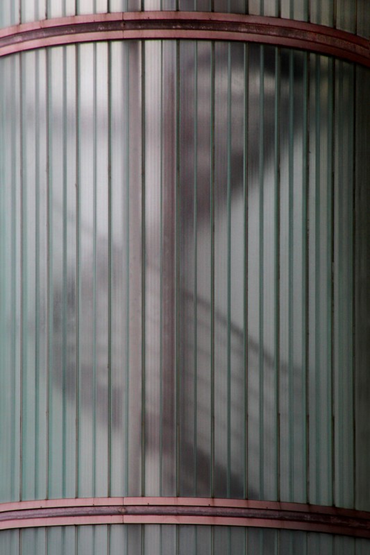 DNA