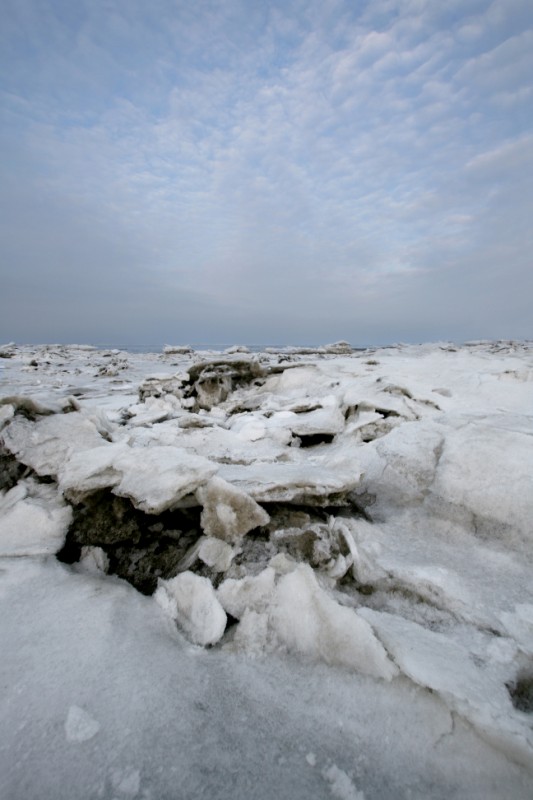 winterwad