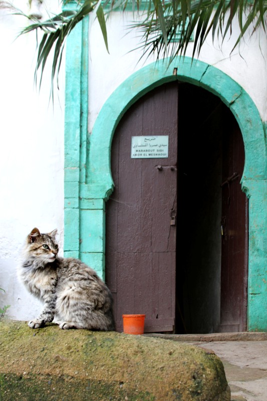 Bab Chellah
