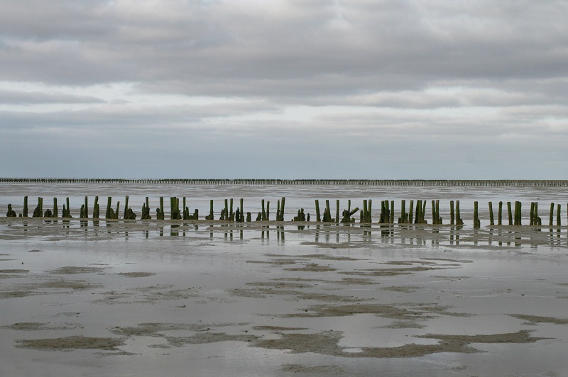 Wadlopen 