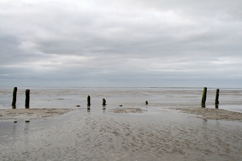 Wadlopen