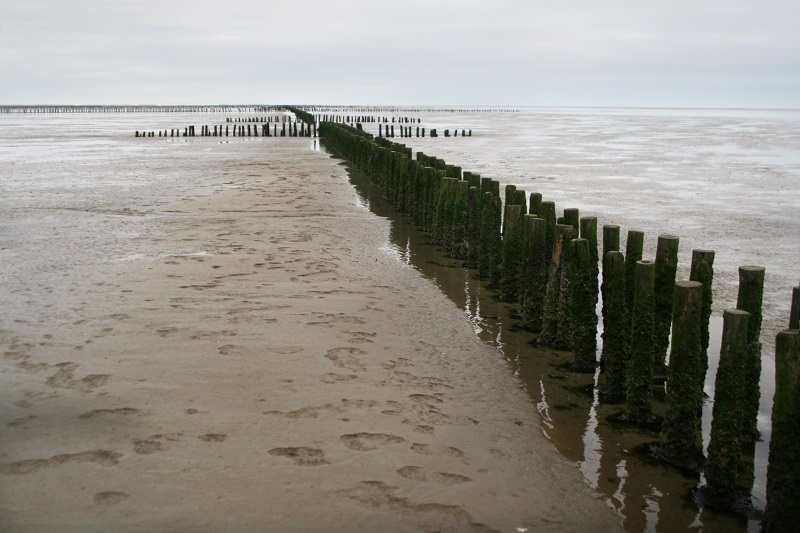 Wadlopen