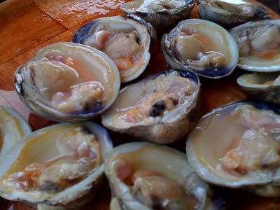 clams-half-shell.jpg