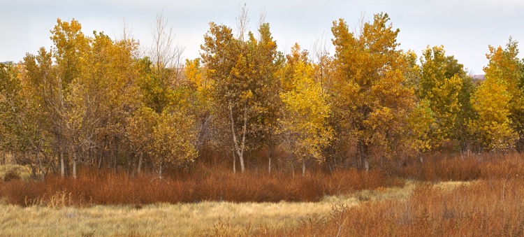 2013-00039-web.jpg