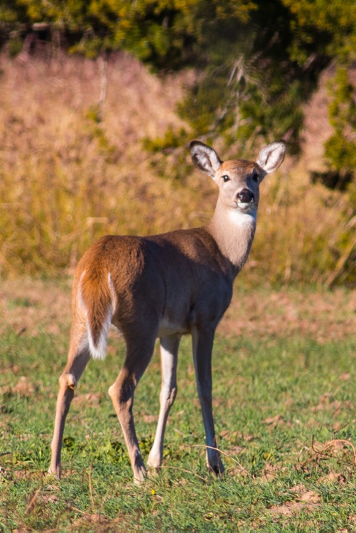2013-00139-web.jpg