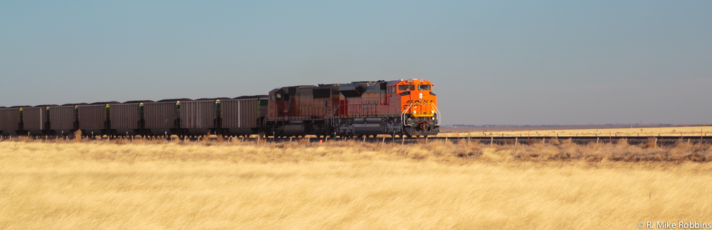 rmr14-00032-LR-DS.jpg
