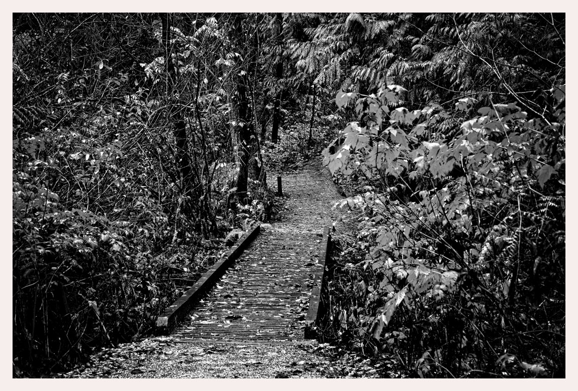 Discovery...