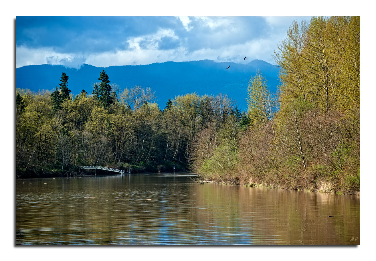 Spring Serenity