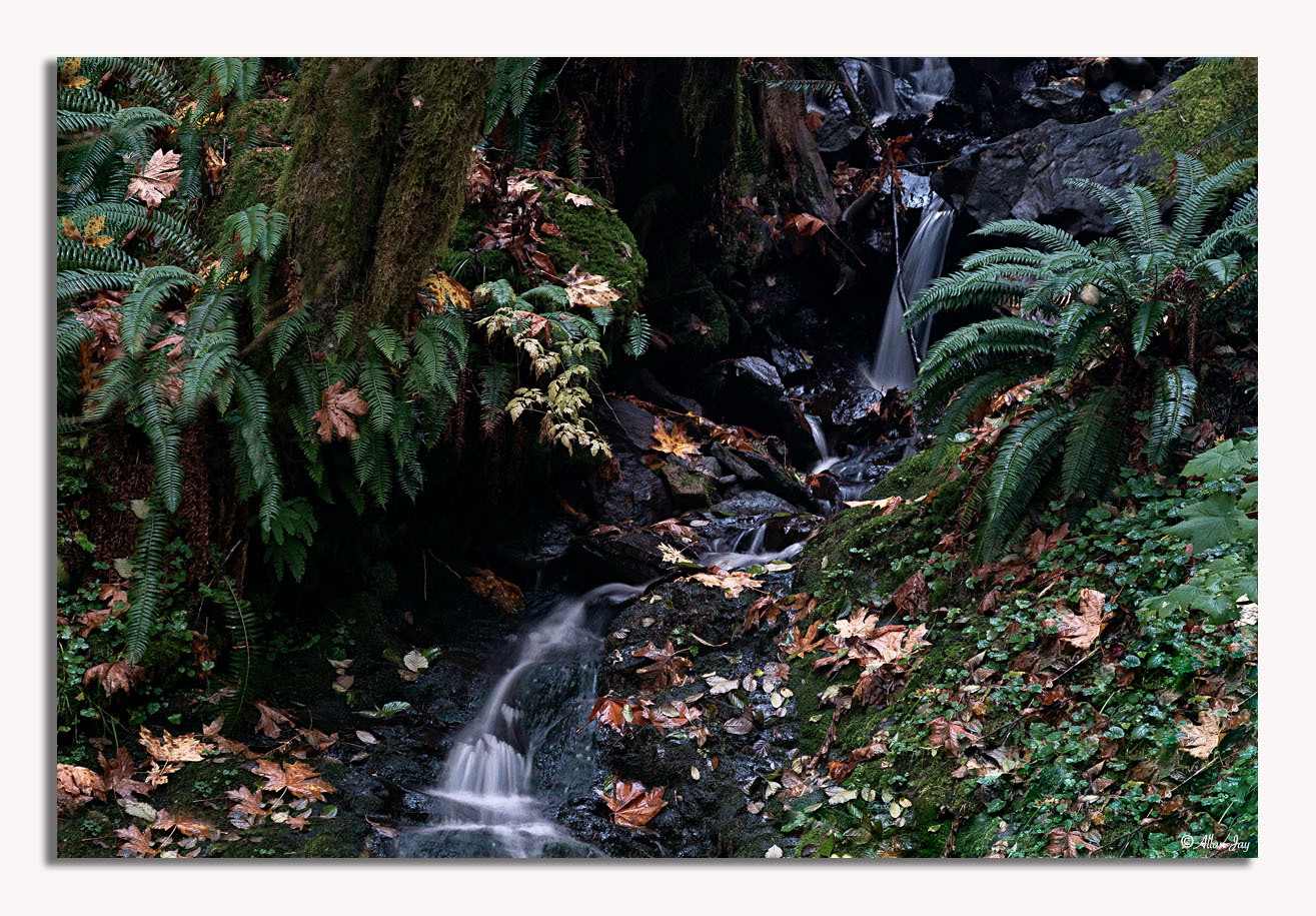 A Tranquil Scene...