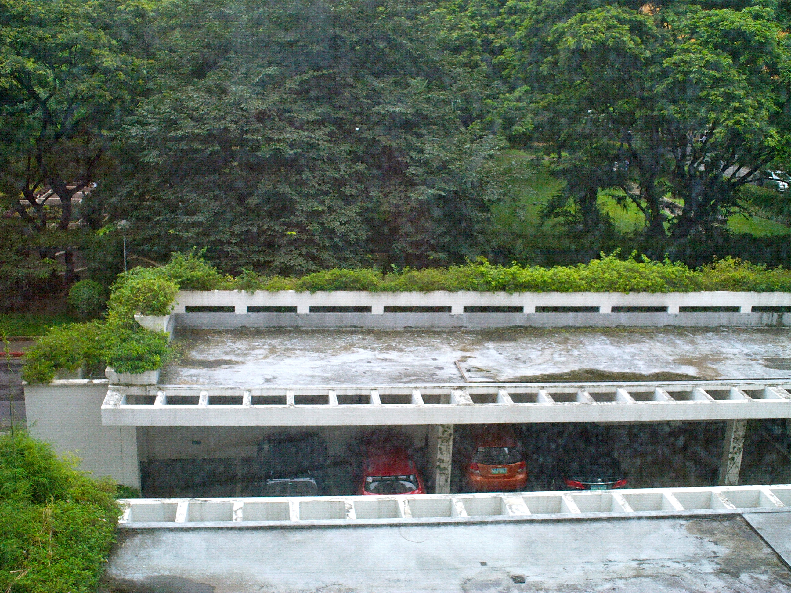 DSC00176.JPG