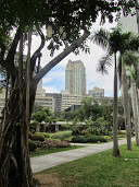 IMG_0384.JPG